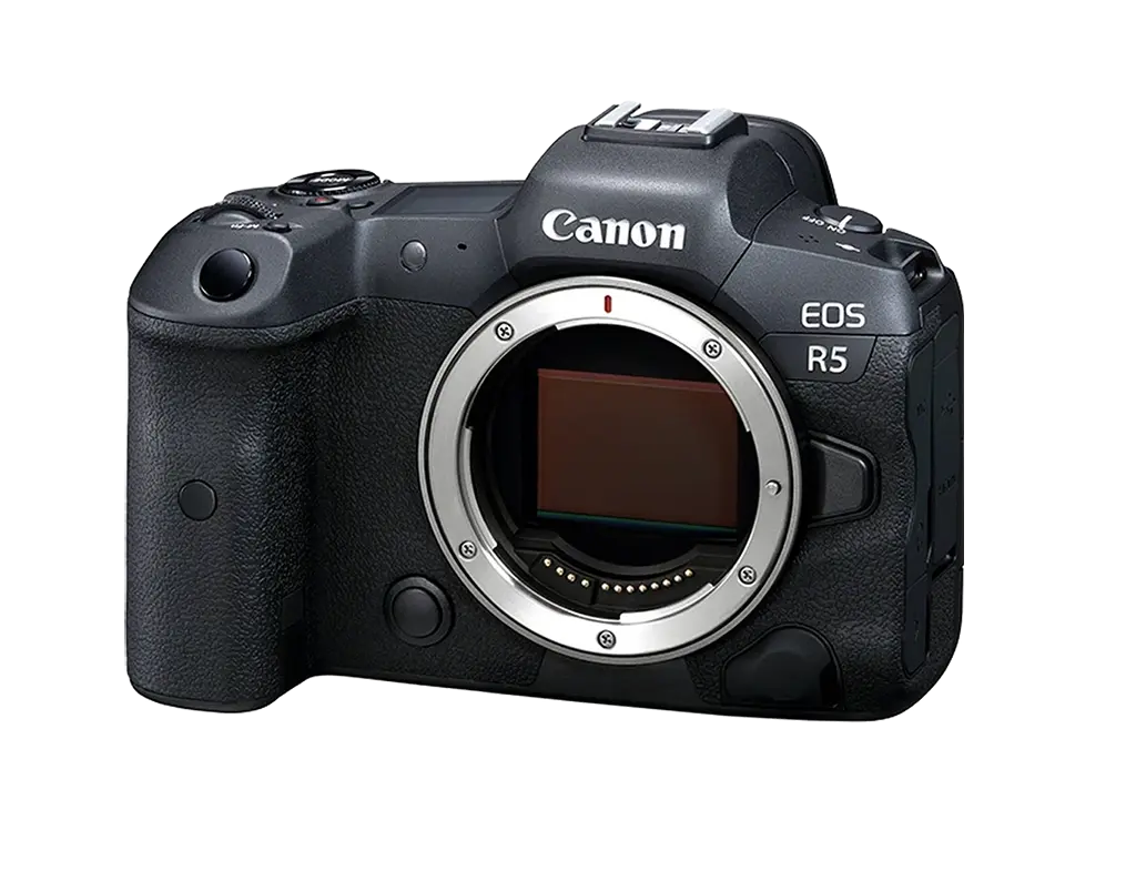 Professional Canon digital camera