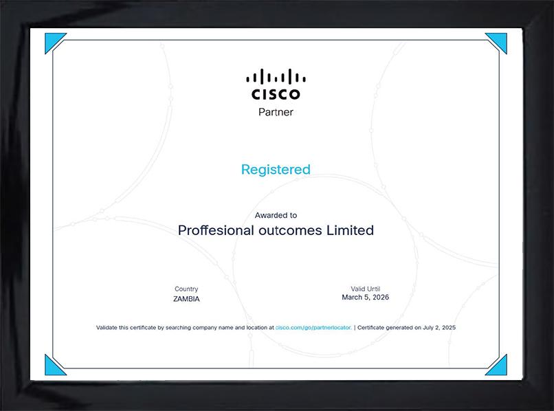 Cisco Partner